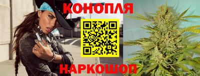 стафф Камышлов