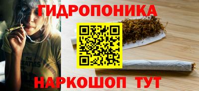 стафф Камышлов