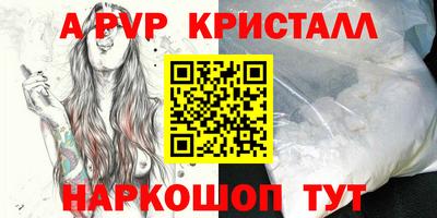 стафф Камышлов